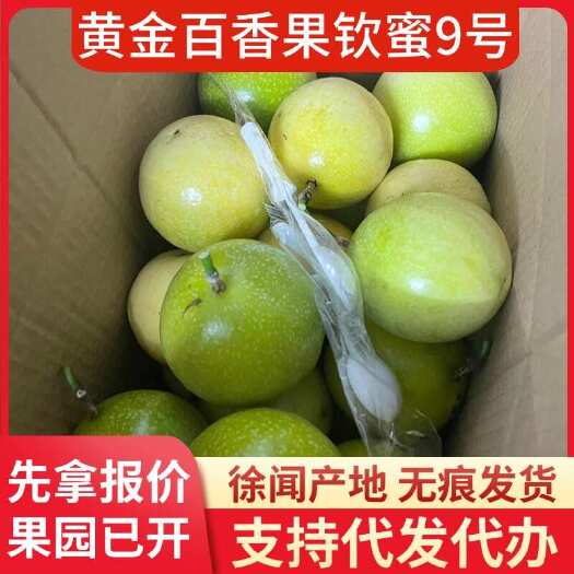 徐闻县广东徐闻钦蜜 9 号百香果支持物流代发