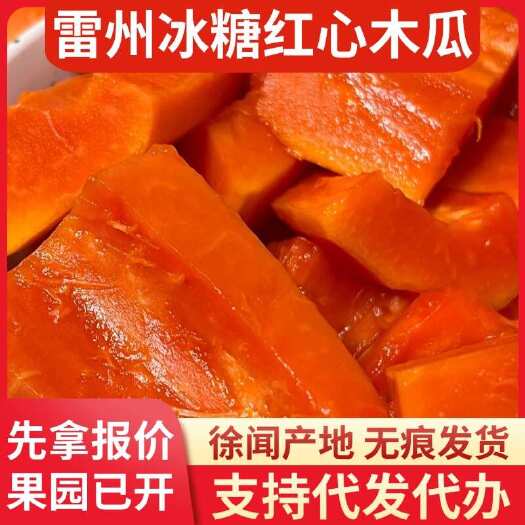 徐闻县湛江雷州市 10 斤冰糖红心木瓜物流代发