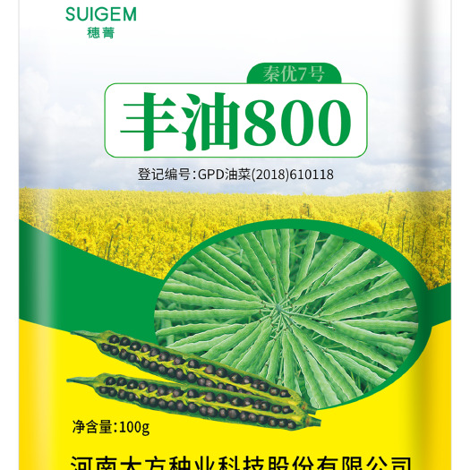 高产矮杆高出油油菜种子【丰油800-秦优7号】