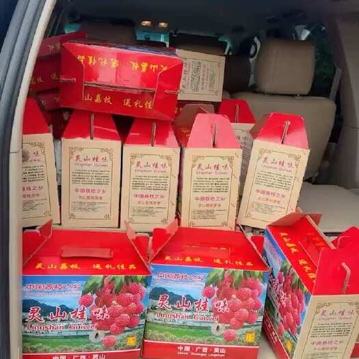 灵山县灵山桂味大量现货