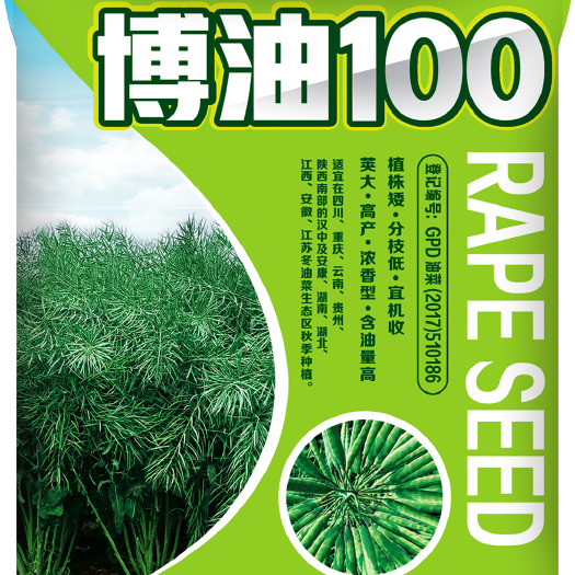 国审高含油高产油菜种子【博油100】