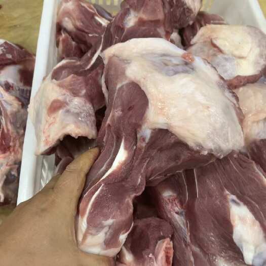 海南精品新鲜猪骨头（扇子骨）屠宰场直供100斤起批量大价优
