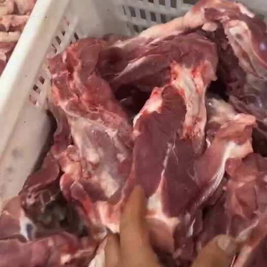 海南精品新鲜猪尾骨，脖子骨屠宰场新鲜直供100斤起批量大价优