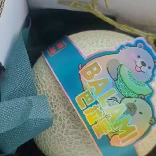 沈阳山东网纹瓜2梨礼盒