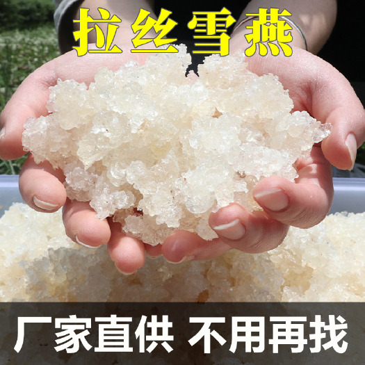 云南拉丝雪燕 植物燕窝原产地雪燕袋装代发散装大货批发