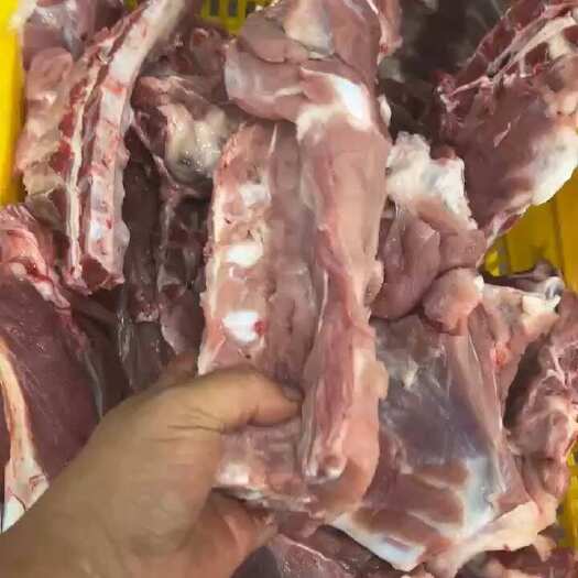 海南精品新鲜猪龙骨、筒子骨含肉率50%屠宰场直供现宰现发