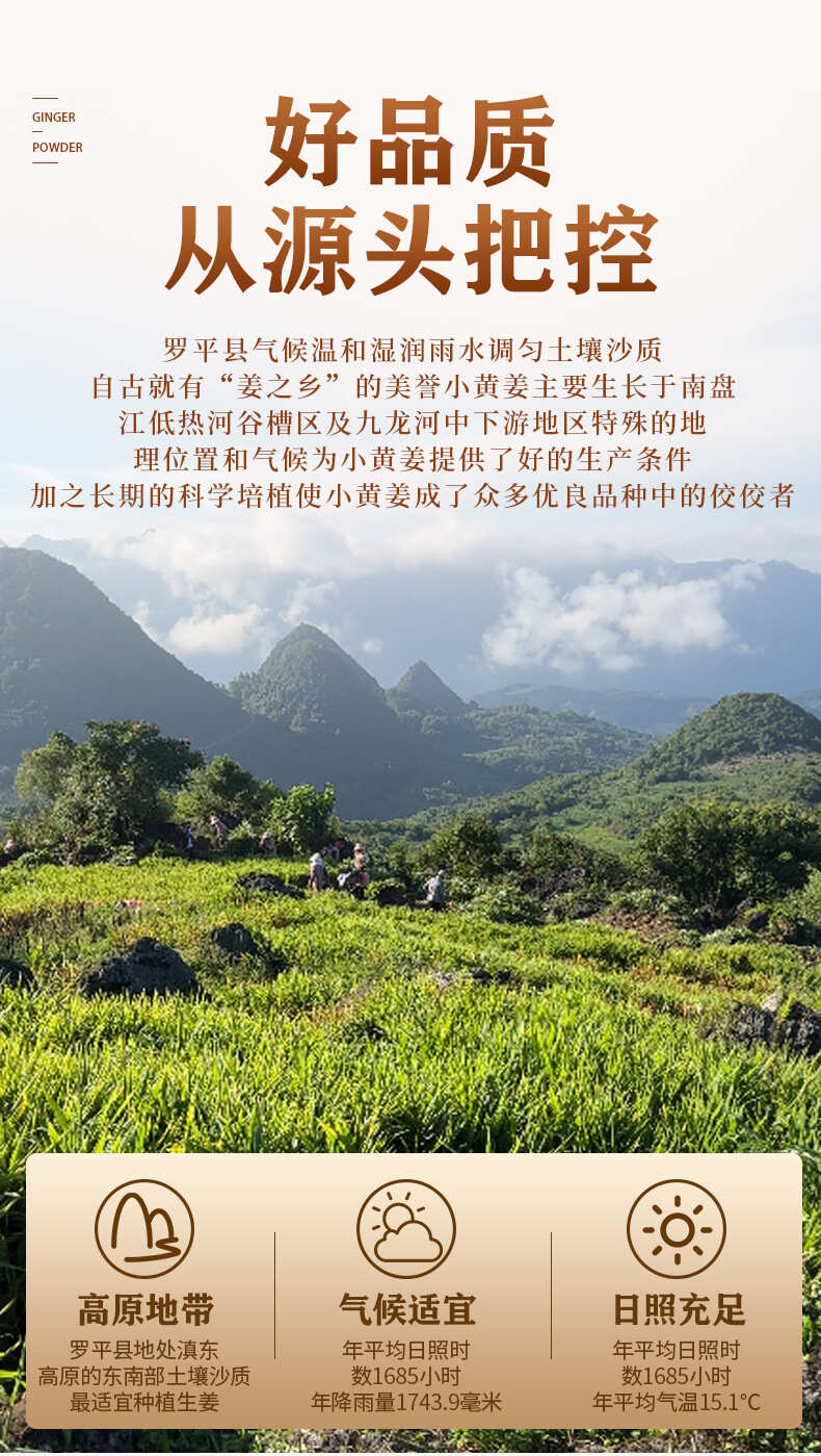 纯姜粉云南罗平有机小黄姜粉云南溯源食用冲调姜粉250g装