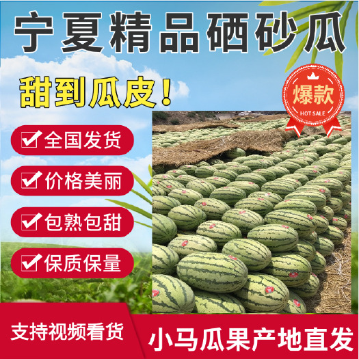 中宁县宁夏硒砂瓜双红瓤即将大量上市产地直供保质保量接受预订