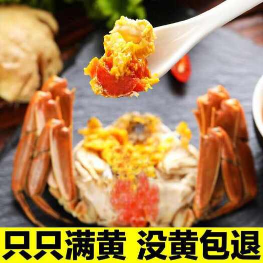盘山县【盘锦河蟹】正宗盘锦河蟹稻田蟹六月黄供应水产店自助餐批发市场