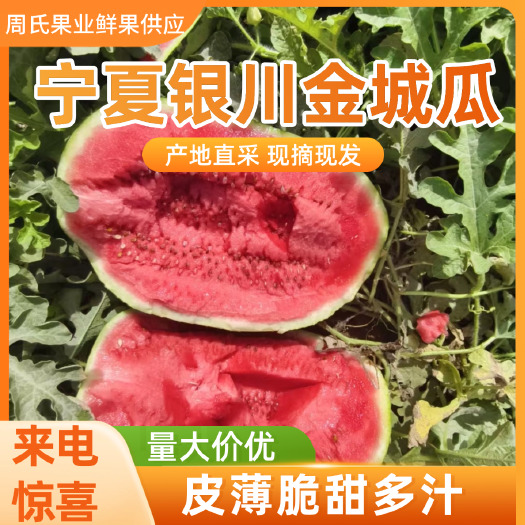 吴忠宁夏银川沙土地金花，金城西瓜大量供应中