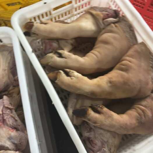 猪副产品（猪手针）
