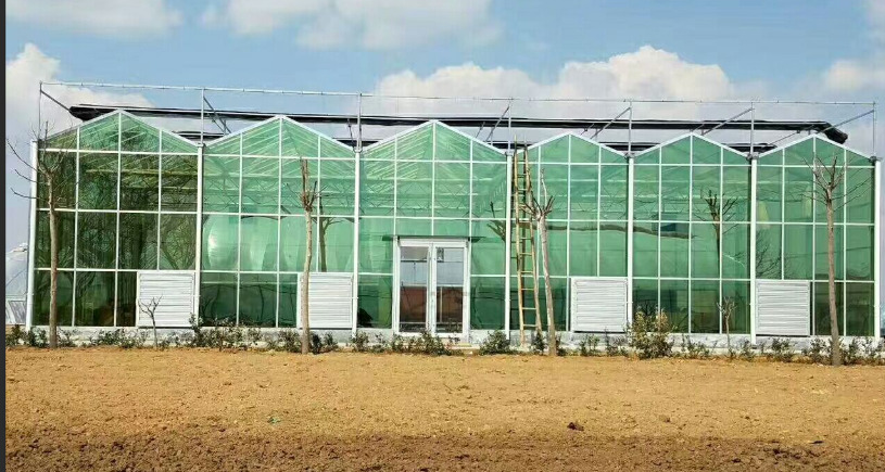 花卉玻璃温室大棚