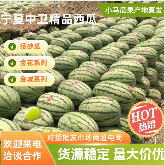 中宁县宁夏硒砂瓜大量上市产地直发一手货源保质保量欢迎来电洽谈