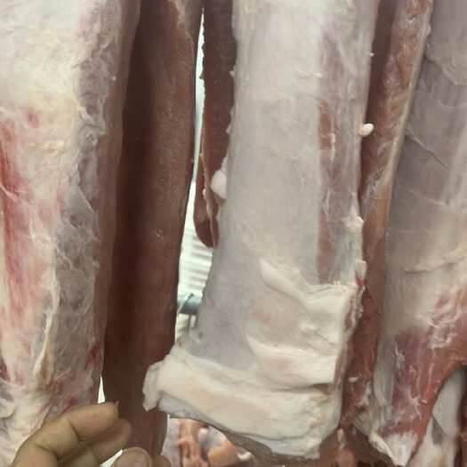 海口精修猪里脊（3号肉无油带筋）