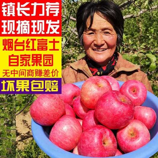 正宗烟台水果栖霞红富士苹果水果脆甜批发大量有货苹果孕妇水果