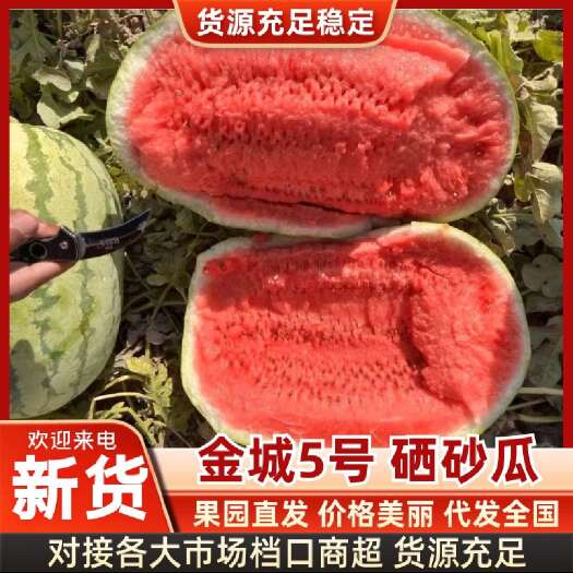 中宁县宁夏中宁硒砂瓜西瓜  新鲜水果 直供产地