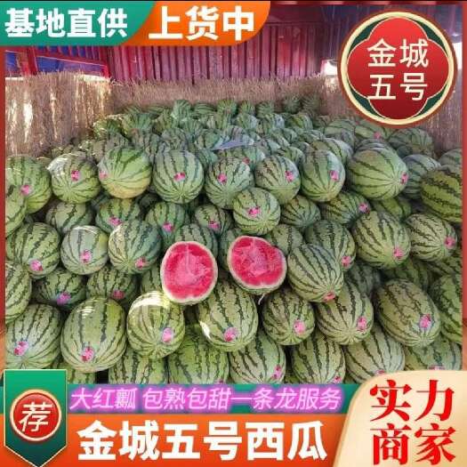 中宁县宁夏中卫金城五号头茬西瓜批发硒砂瓜西瓜批发甜王批发