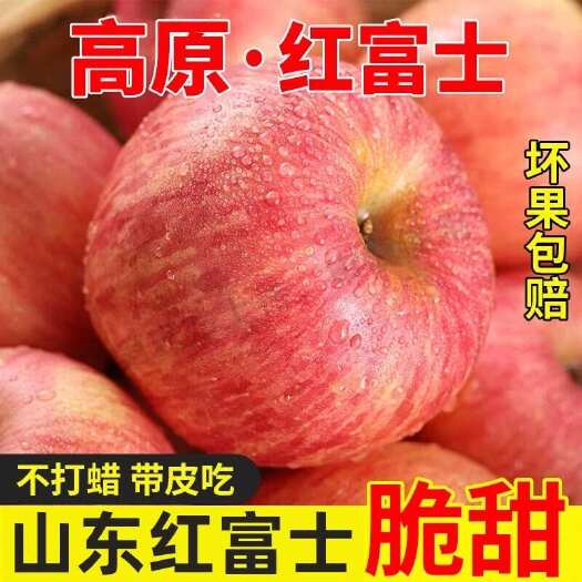 【可果园现摘】栖霞苹果水果新鲜山东烟台红富士萍果糖心