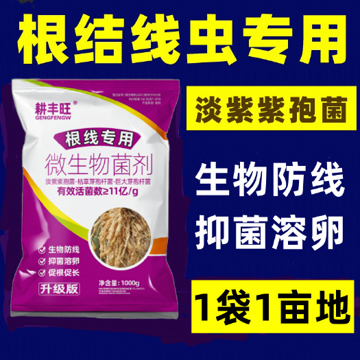 郑州根结线虫专用药淡紫拟青霉菌淡紫紫孢菌根线虫专用药防线虫专用药