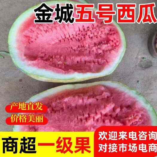 宁夏中宁硒砂瓜沙漠石头瓜批发档口市场水果店批发西瓜批发