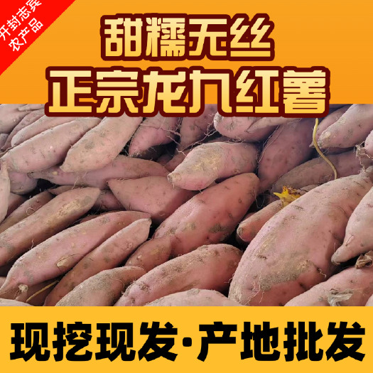 开封正宗西瓜红薯蜜薯新鲜红薯沙地番薯现挖糖心河南香甜龙九地瓜