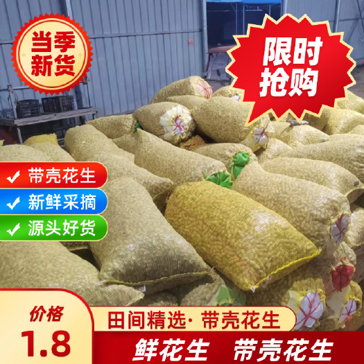 【农家自种】农家颗粒粉皮湿带水煮泥花生新鲜花生带壳粉红原种
