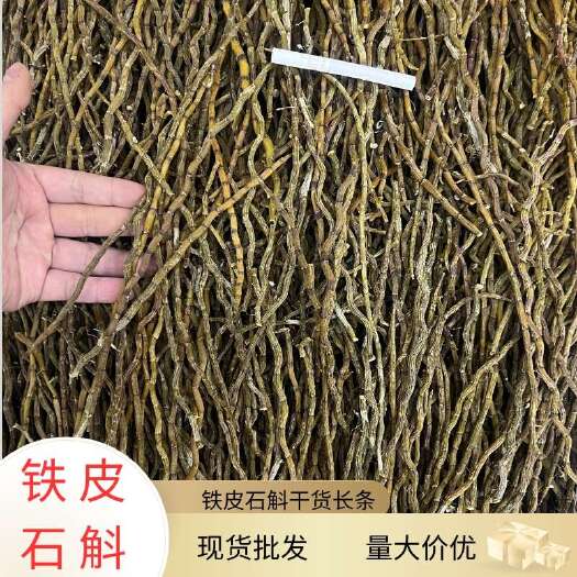 昆明铁皮石斛干条1KG长粗条全化渣浙江苗现货20吨