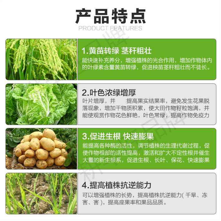 叶绿素氨基酸水溶肥花卉果树蔬菜叶面肥增绿增厚中量元素水溶肥料