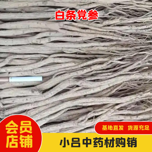 陇西县白条党参，产地货源，一手价格，自产自销