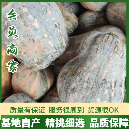 嘉鱼县湖北嘉鱼优质南瓜 新鲜瓜菜类蔬菜直供 小金香