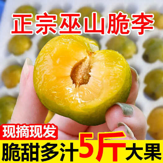 重庆巫山脆李脱骨李子四川5斤新鲜水果当季整箱孕妇青脆李土包邮