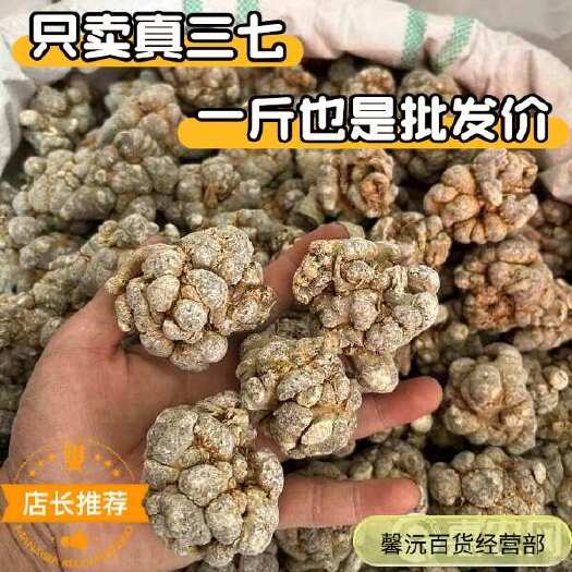 昆明云南文山三七产地直销现货批发一斤也是批发价包邮到家、量大价优