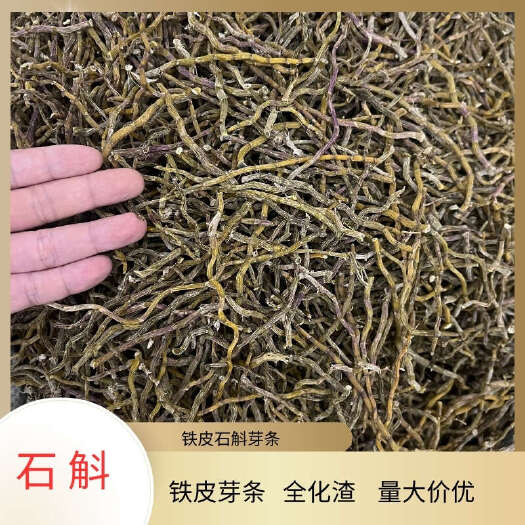 铁皮石斛芽条1KG全化渣产地直销铁皮石斛打粉条