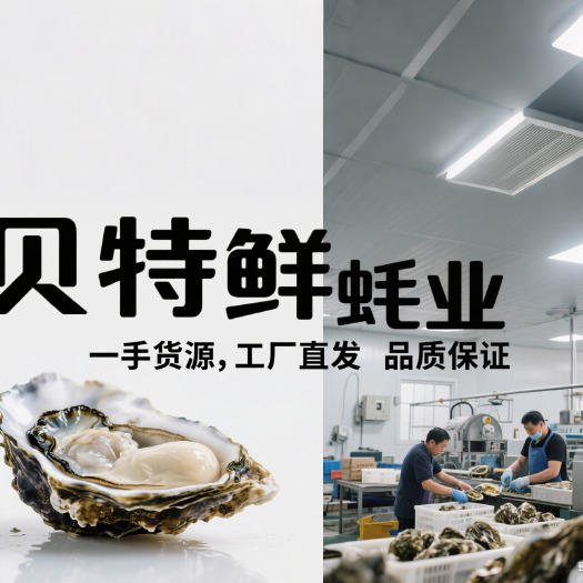 鲜活全壳生蚝，工厂直发。整车、物流专线