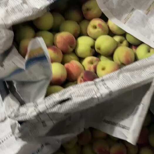 宜章县湖南郴州宜章蜜桃鹰嘴桃精品果新鲜水果批发