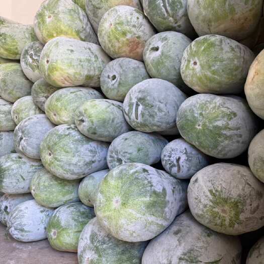 江西新余冬瓜产地直供 新鲜蔬菜瓜菜类优质冬瓜
