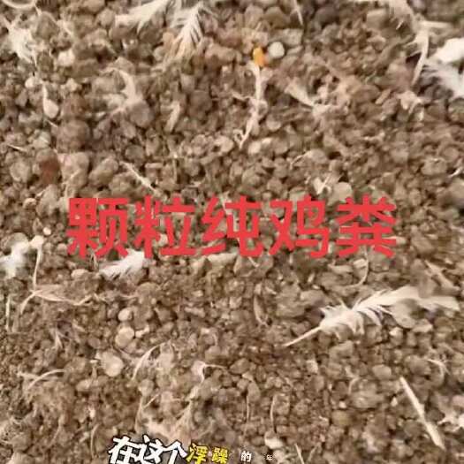 海安市风干颗粒纯鸡粪