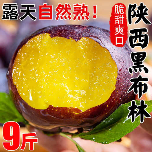 现摘黑布林李子10斤新鲜脆李三华脱骨孕妇蜂糖水果应当季整箱包