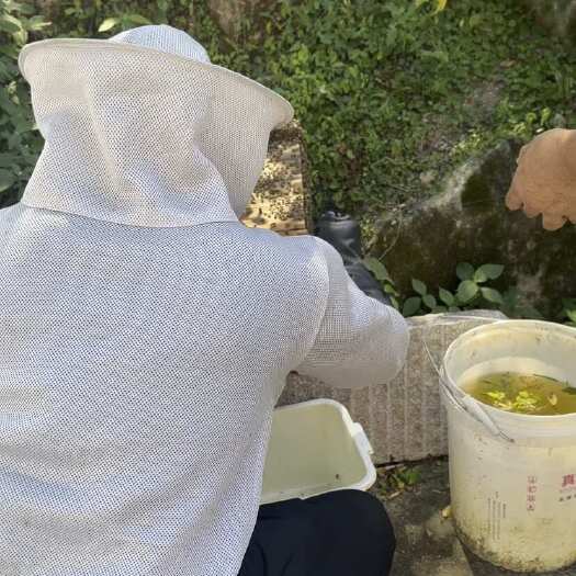 乐清市野生百花蜜  中蜂