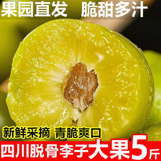 四川脱骨李一件代发产地直发一手货源对接各大电商平台
