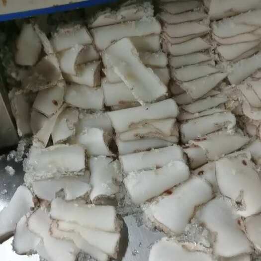 新鲜黄金鲍片 白螺片 检检疫合格支持报关单 物流配送