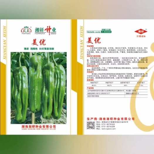 泡椒种子  美优 早熟 产量好 采收期长 微椒型微黄薄皮泡椒