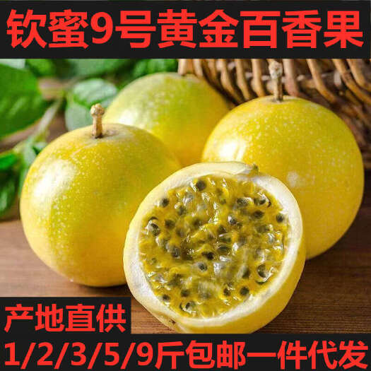 信宜市2025钦蜜9号黄金百香果电商一件代发电商果批发代办广东茂名