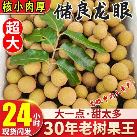 高州市2025广东茂名储良龙眼新鲜水果电商一件代发市场商超产地代办