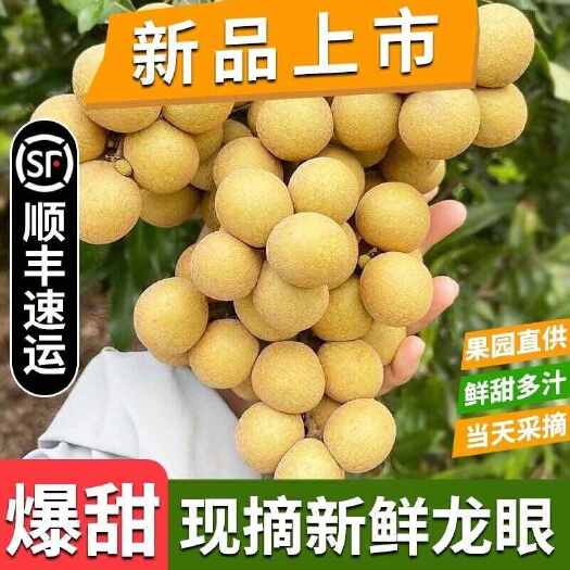 2025广东茂名石硖龙眼新鲜水果电商一件代发市场商超产地代办