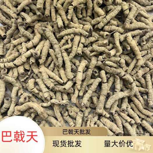 昆明产地直销跑江湖用巴戟天整个中大现货批发