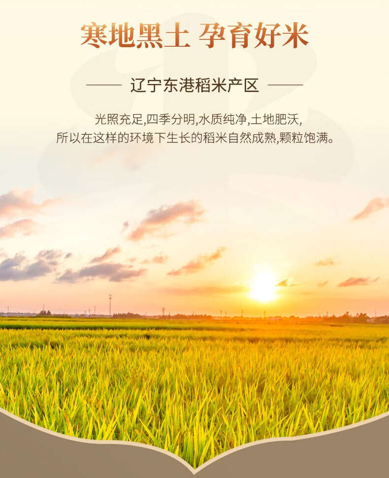 寒地东北大米北纬40°黑土地珍珠米颗粒饱满粳米10斤现磨新米