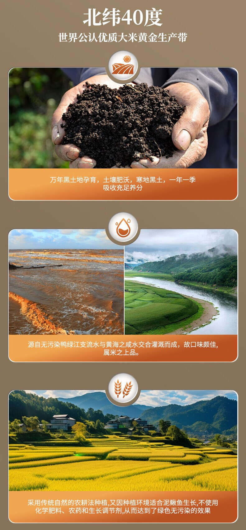 寒地东北大米北纬40°黑土地珍珠米颗粒饱满粳米10斤现磨新米