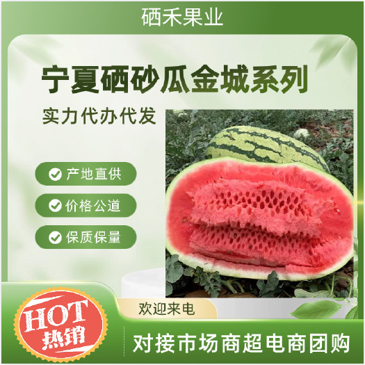 中卫宁夏硒砂瓜产地一手货源价格实惠皮薄瓤红对接市场商超团购