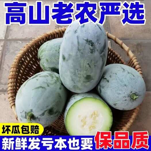 农家老品种冬瓜高产粉皮冬瓜四季蔬菜可留种批发冬瓜批发